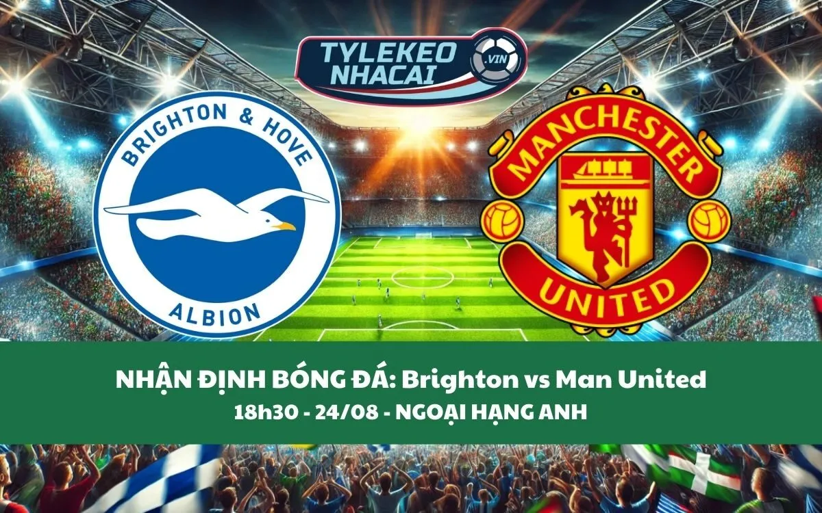 Nhận Định Tip Kèo: Brighton vs Man United 18h30 - 24/08 - Thắng Lợi Trong Tầm Tay